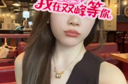 小姐姐发资料,揭秘小姐姐分享的实用资料精华